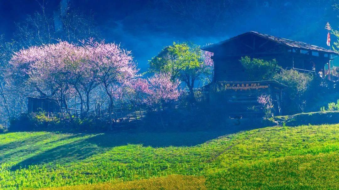 孩子不吃饭，究竟是什么情况？