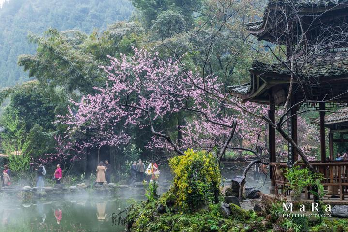 燃烧吧大脑装瓶子游戏