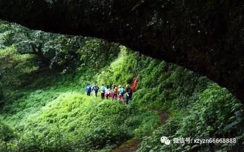 飙酷车神