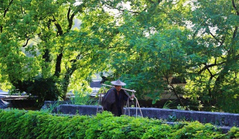 同争6连胜！浙江东阳光药3战北控，孙铭徽胡金秋过招费尔德邹雨宸