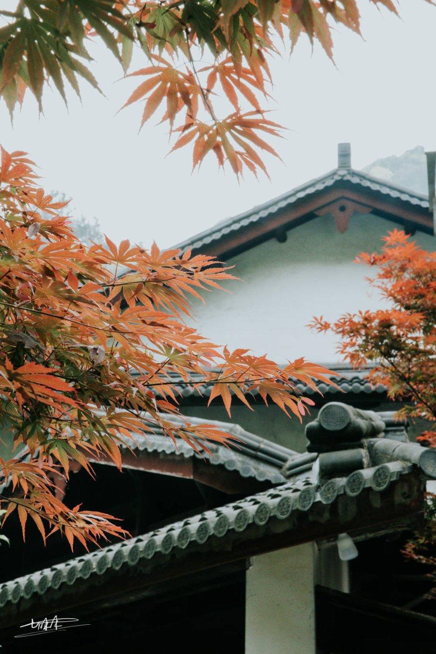 女孩子说一年可能见到一次怎么回答?——发现共同爱好的红迪网平台