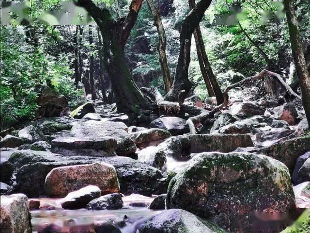 了解山东特产有哪些的最佳知识问答网页