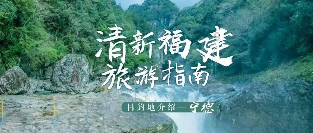 狂野的飙客