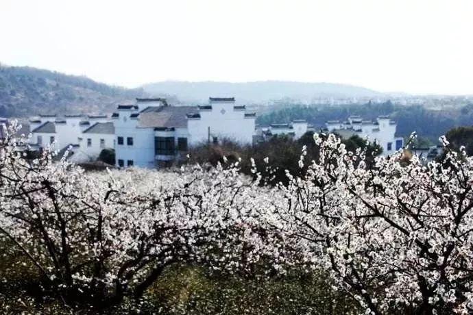 脑洞小老弟无实名认证