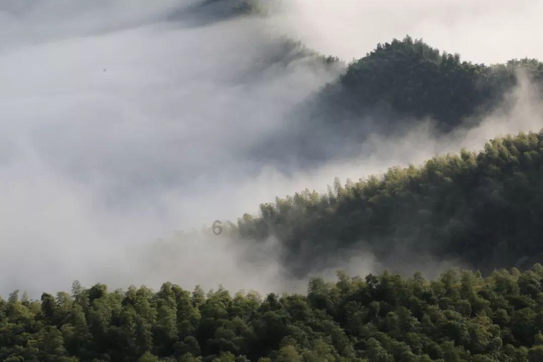 妙鸭相机app下载官网