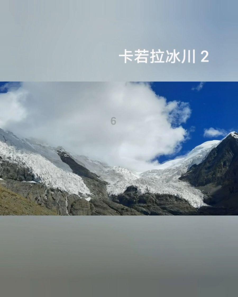 逃出猫头鹰岛