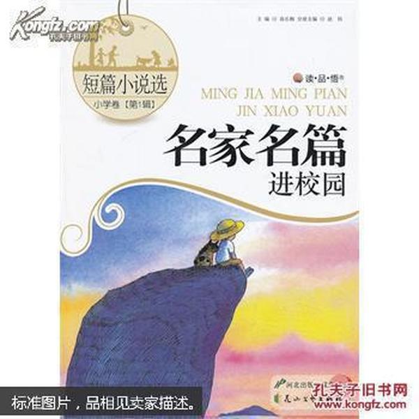 蓝狐视频