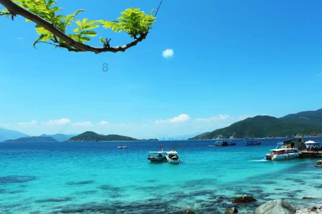 沪江开心词场