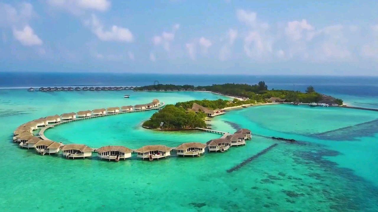 全民烧脑3去广告版
