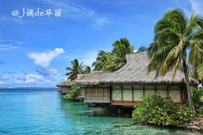 上水湾·龙园 视频大赛颁奖典礼举行