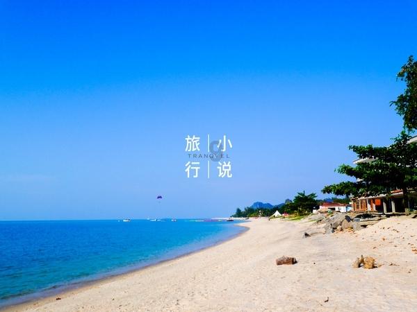 中国绿色农业盘中异动 股价大涨5.99%