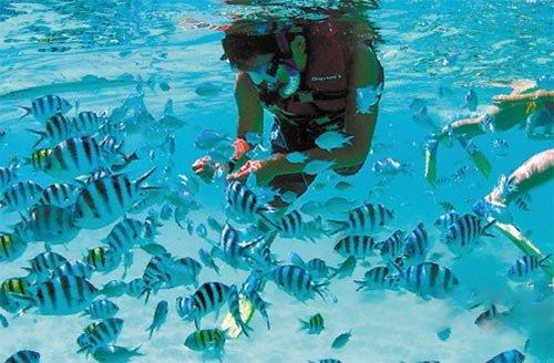 世界首台aims望远镜实现“直接测量”跨越