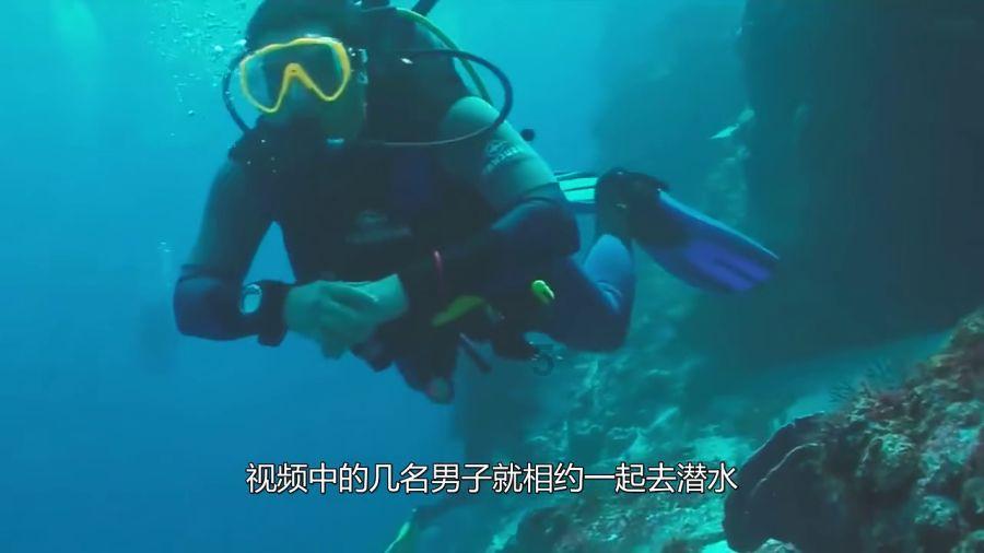 沪江开心词场