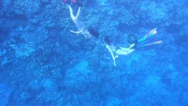 海贼王伟大冒险2
