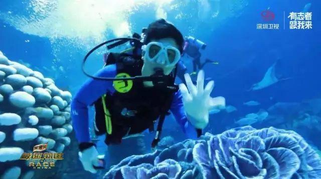 海盗寻宝记选关版