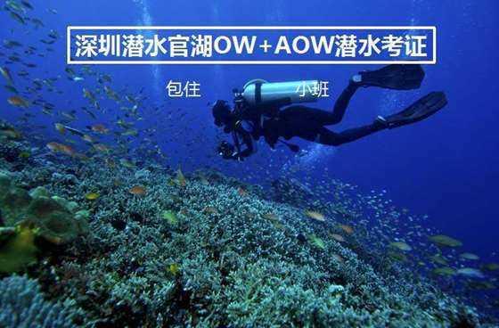 月光影视