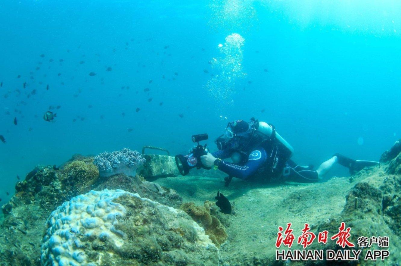 小猫钓鱼开船版最新版下载