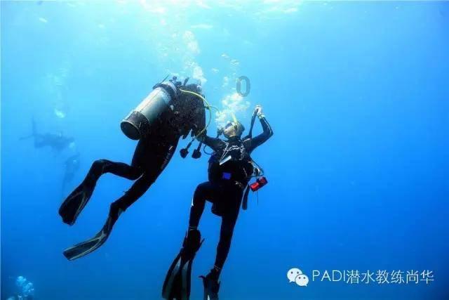 春运期间部分国际航线票价同比降幅超40%,航司:航班量增加等多因素导致