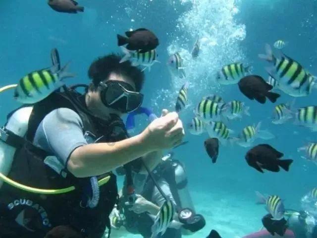 淄博输卵管积水怎么解决[热点解答]济南红绘