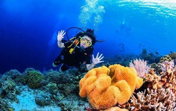 打卡云南丨第20件小事：去丽江雪山桃花坞牧场，赴一场冬日之约