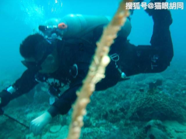 机智问答网页-探索智慧的那你是我的么是什么意思?世界!