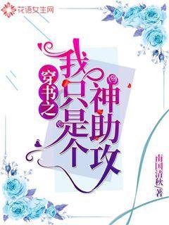 疯狂的小偷
