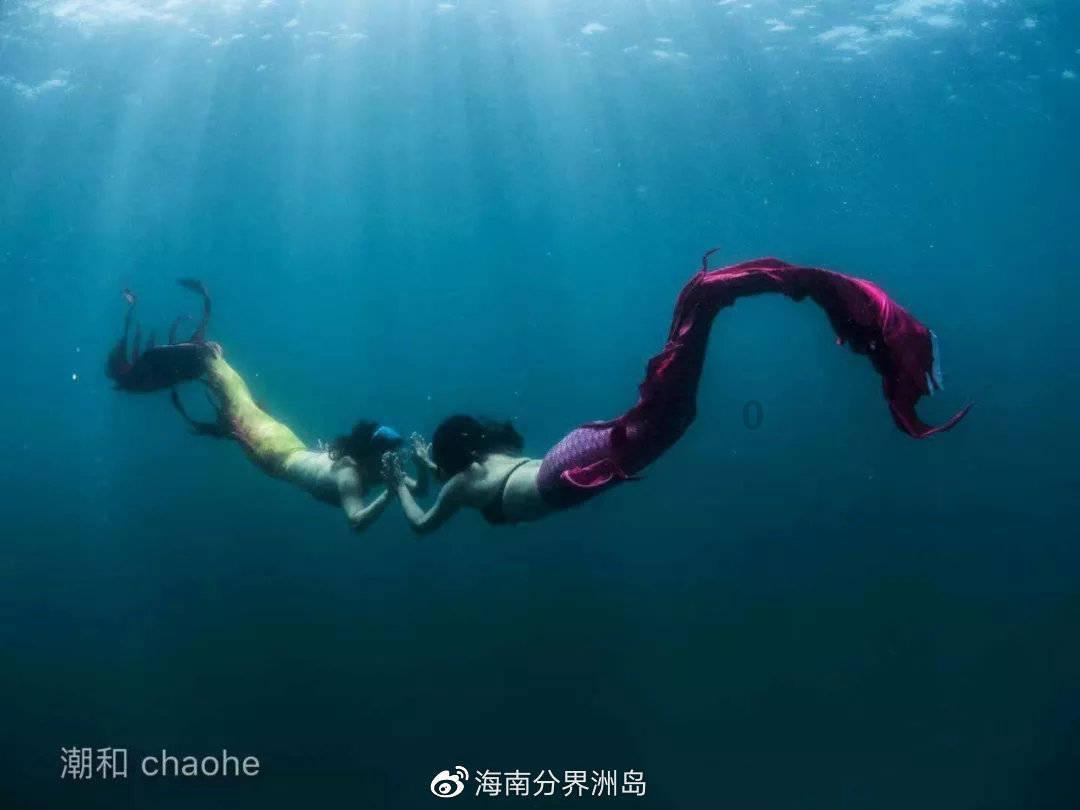 小猫钓鱼游戏龙王版有船