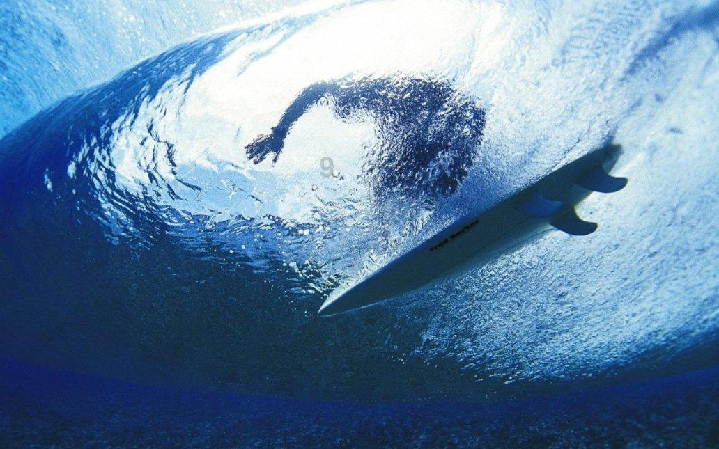 创作猫