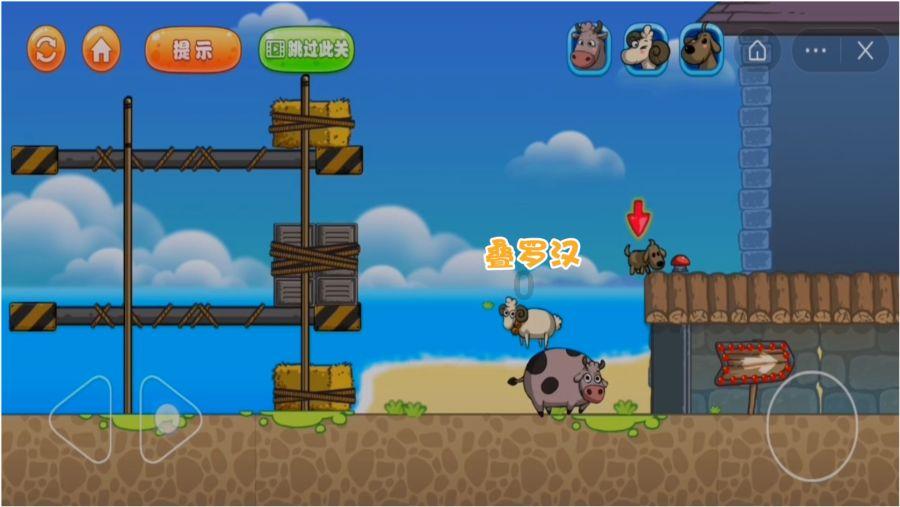 春雨直播app