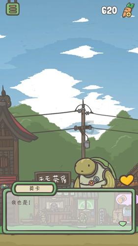 创作猫