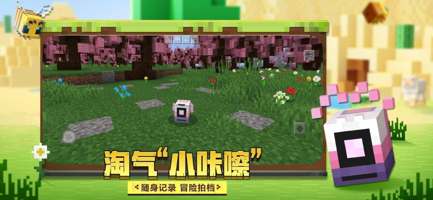 创作猫