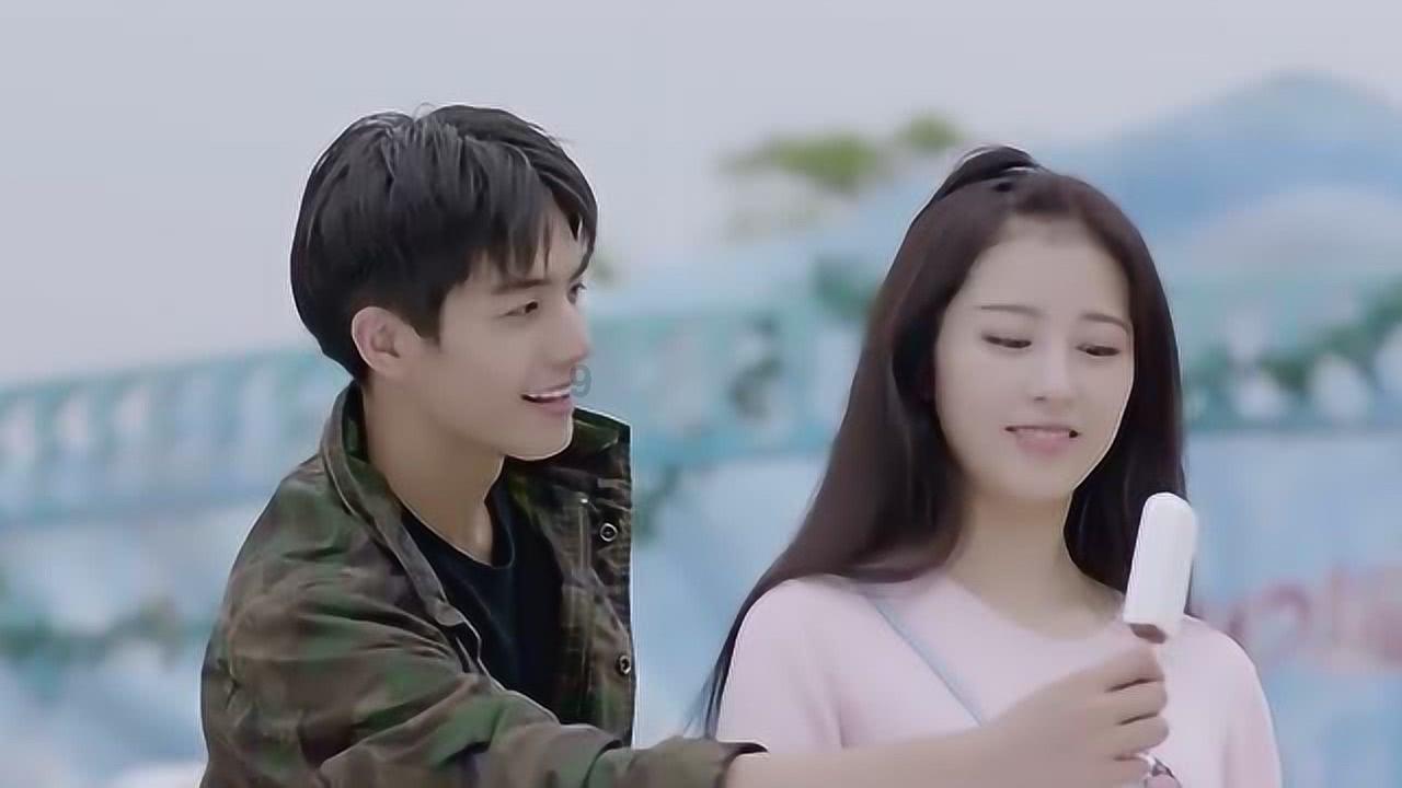 破碎的动物图形3