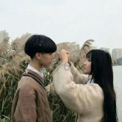 虫虫助手下载