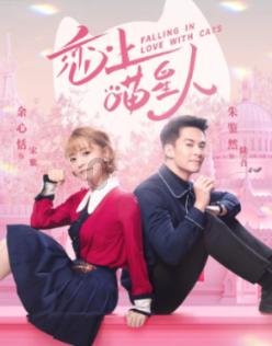 大炮篮球3选关版