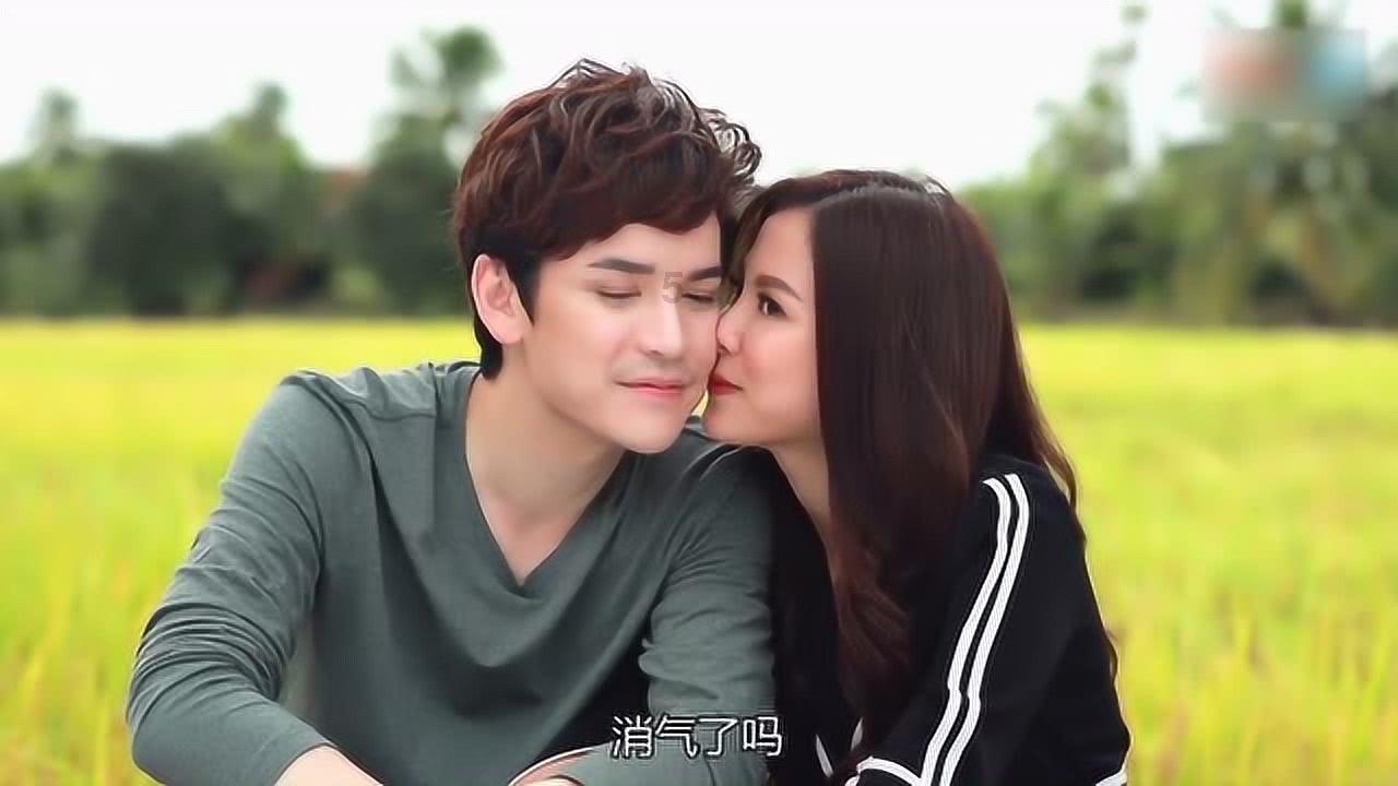 寻找迷路的松鼠