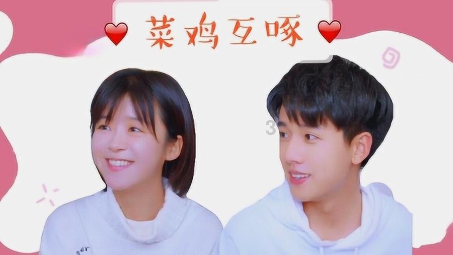 创作猫