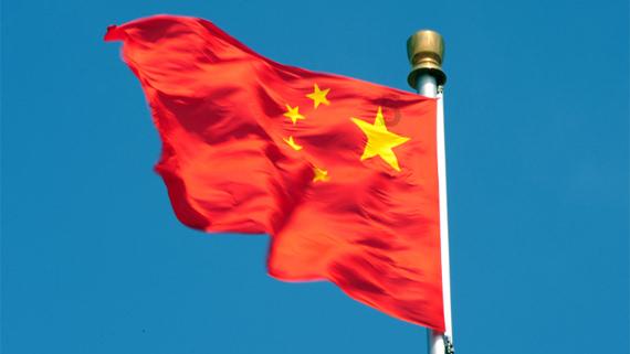 动物帮帮忙保卫家园