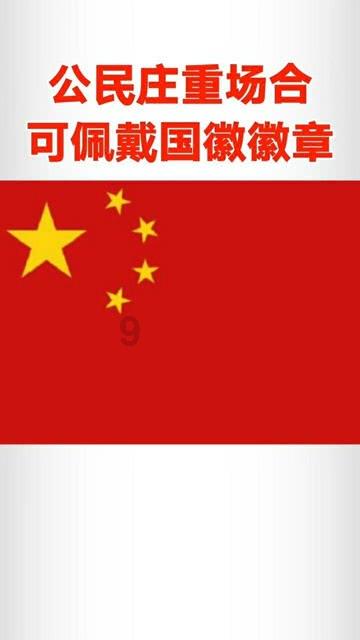 进料与粗破阶段使用的设备是什么？