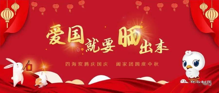 小猫钓鱼正版下载中文版