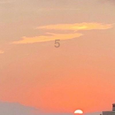 虫虫助手下载
