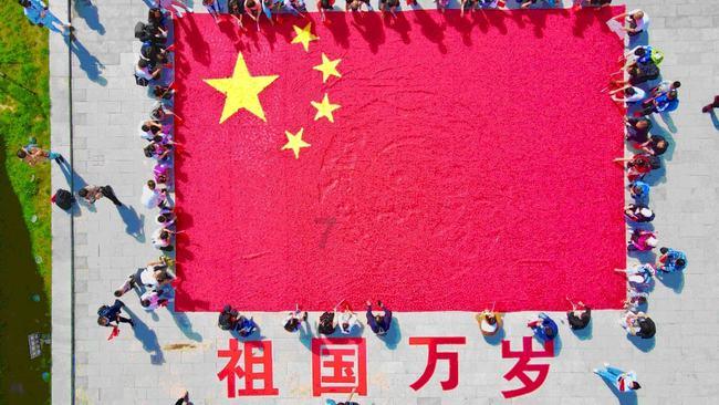 创作猫