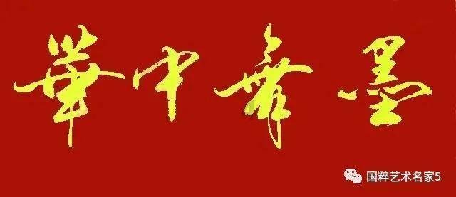 救援小白狼