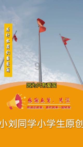 超会摆Pose的沙漠时尚模特：原驼 | 每日一图 狐瞰世界