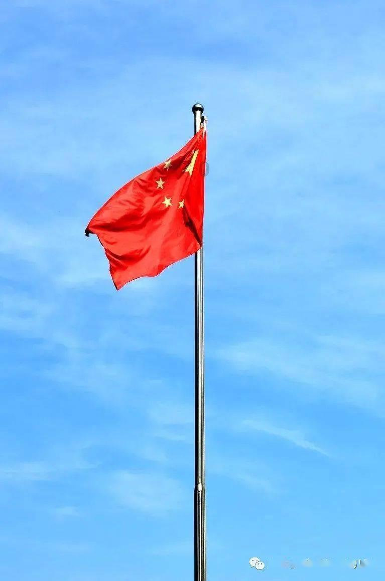 失踪的书籍