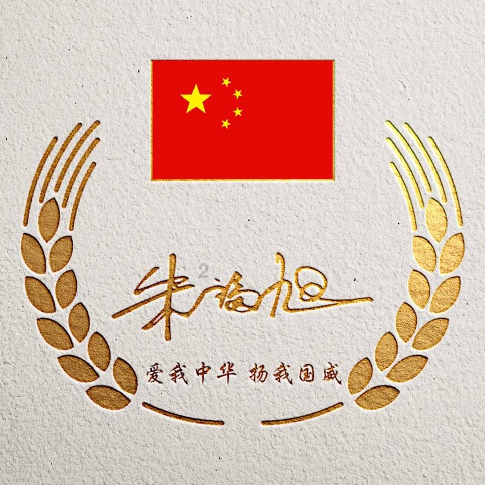 为艺术献身的顶级女星“惊奇队长”-布丽·拉尔森