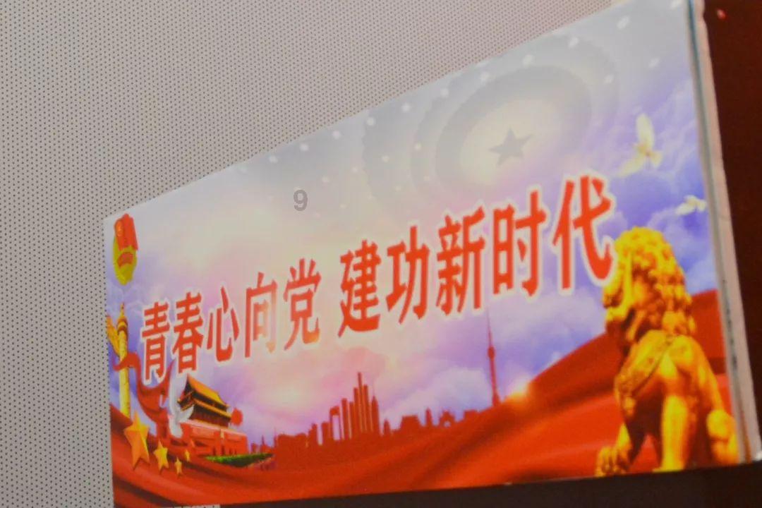 88影视