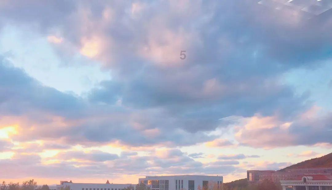 创作猫