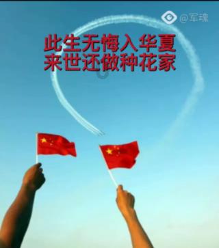 动物帮帮忙保卫家园