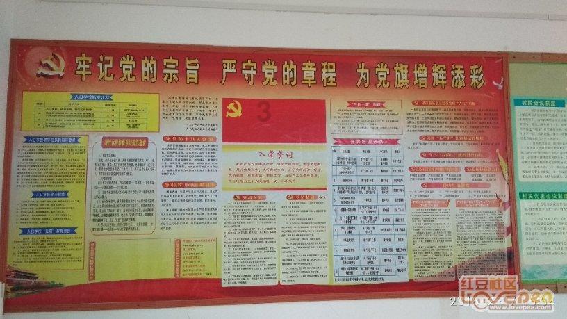 88影视