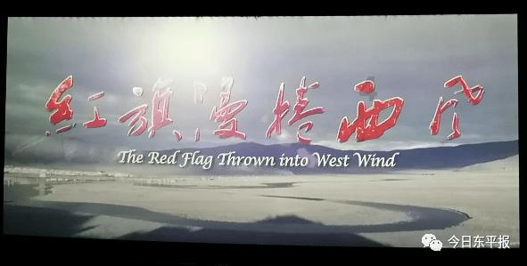 小猫钓鱼正版下载中文版